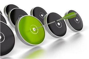 中小企業如何借助網絡營銷與軟件開發在互聯網時代與大企業競爭