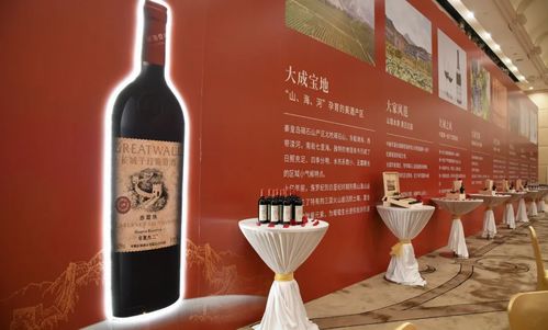 華夏九二 書寫新時代國產(chǎn)紅酒經(jīng)典的深圳啟航